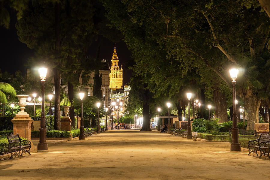 Illuminated Sevillian Night - Cristina Garden Jardines De Cristina And La Giralda Belltower Photograph