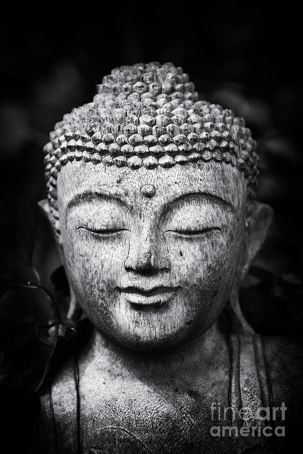 Buddha Photograph - Illumination Monochrome by Tim Gainey
