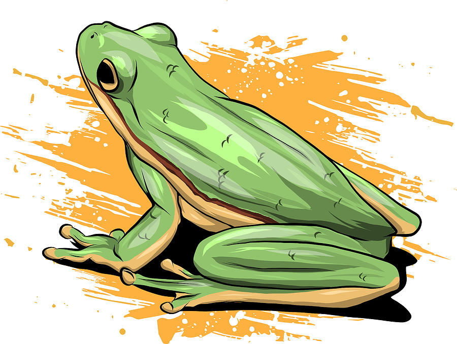 Frog. Drawing Frog Image & Photo (Free Trial) | Bigstock