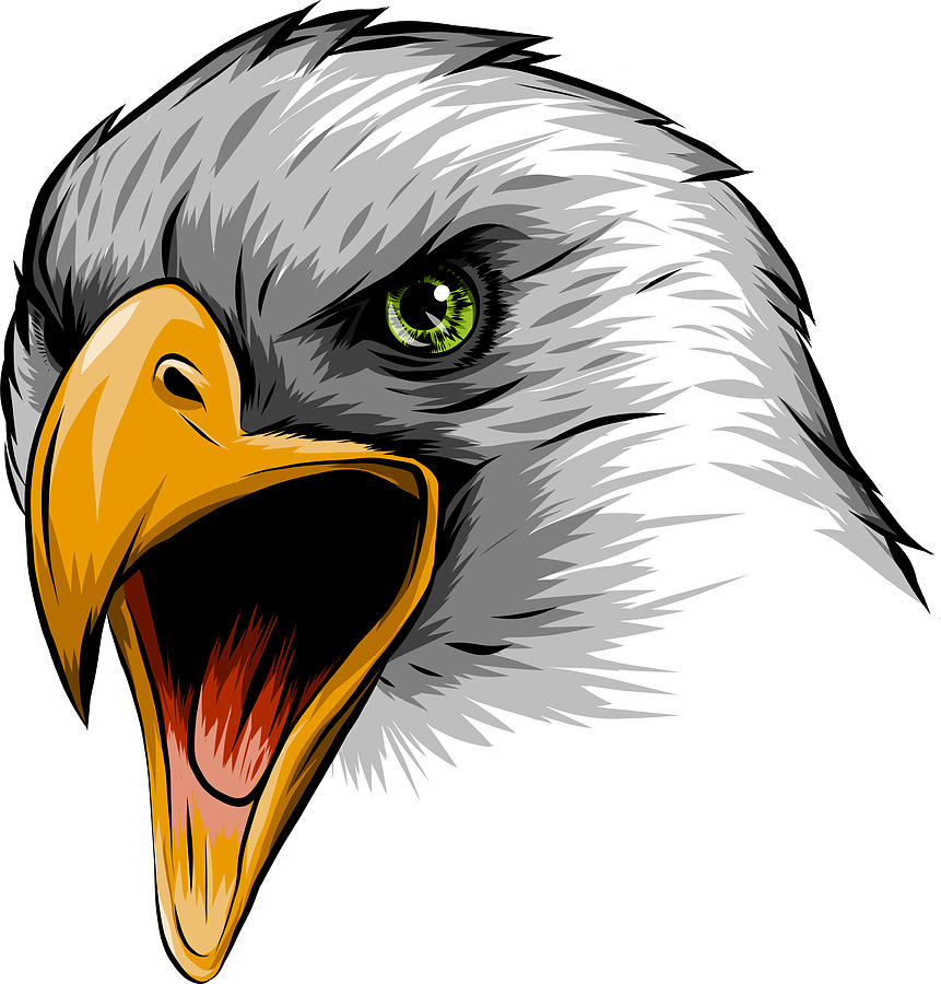 illustration a Eagle Head mascot in the white background Digital Art by  Dean Zangirolami - Fine Art America