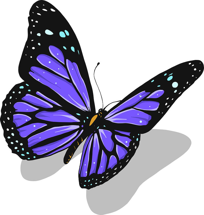 Illustration Of A Beautiful Colorful Butterfly That Flies Digital Art ...
