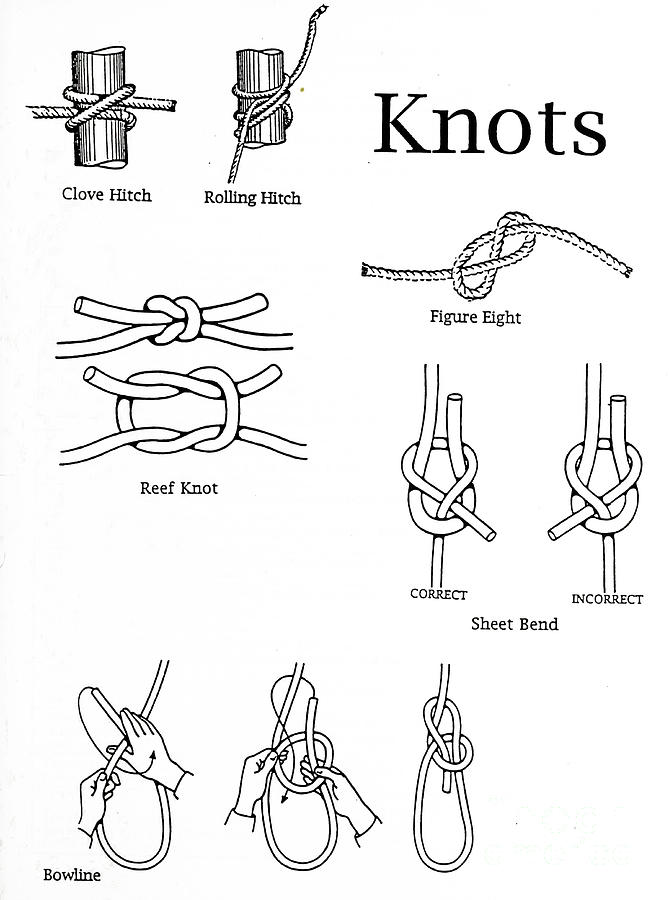 Illustration of a Set of nautical knots Photograph by Humorous Quotes ...