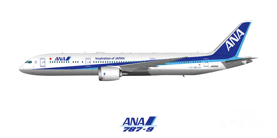 Illustration of ANA 787 - White Version by Steve H Clark Photography