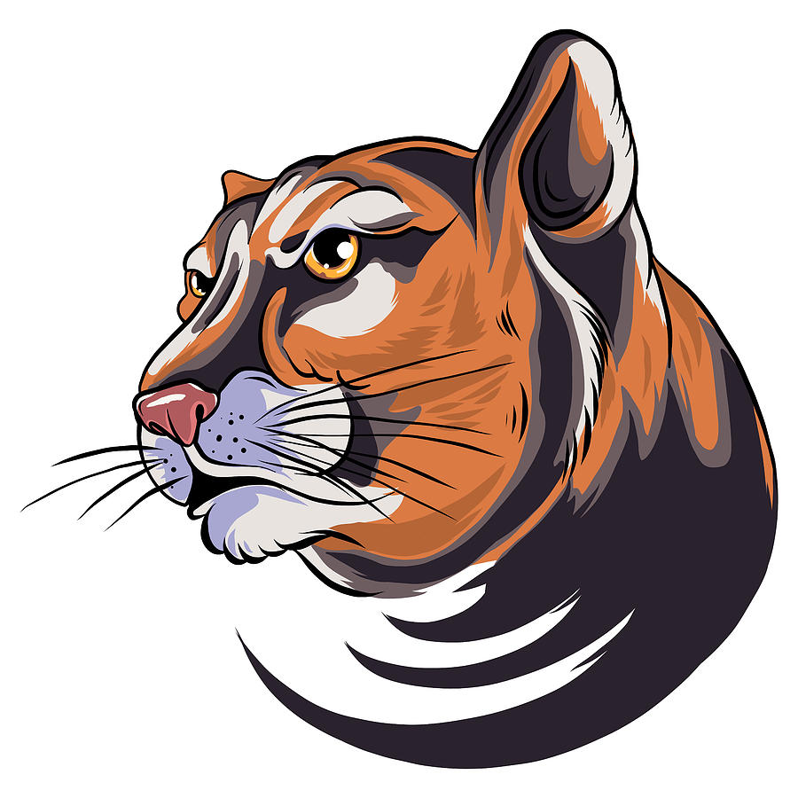 illustration of Cougar Panther Mascot Head Vector Graphic Digital Art