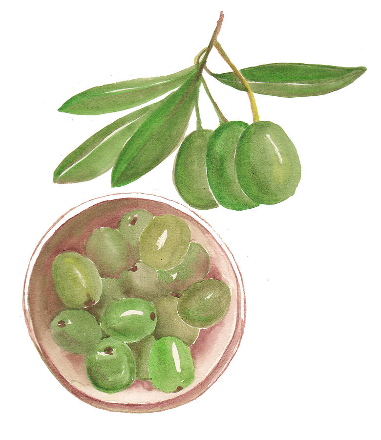 Illustration of green olives Photograph by Kana_hata