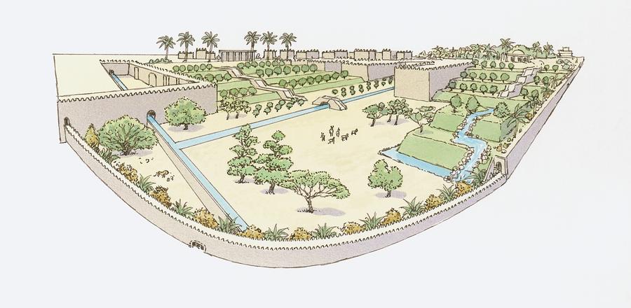 Illustration of Hanging Gardens of Babylon, one of the Seven Wonders of the World Drawing by Dorling Kindersley