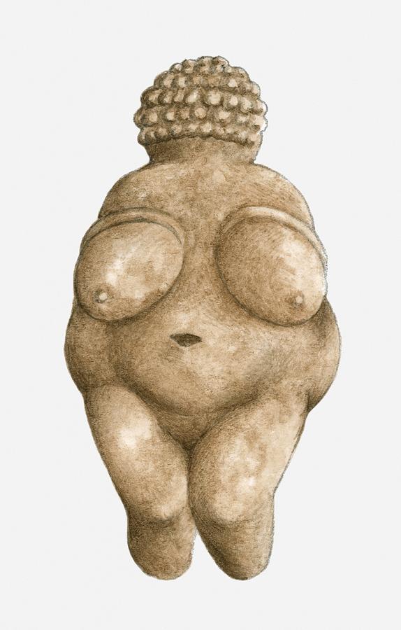 Illustration of limestone Venus of Willendorf Drawing by Dorling Kindersley