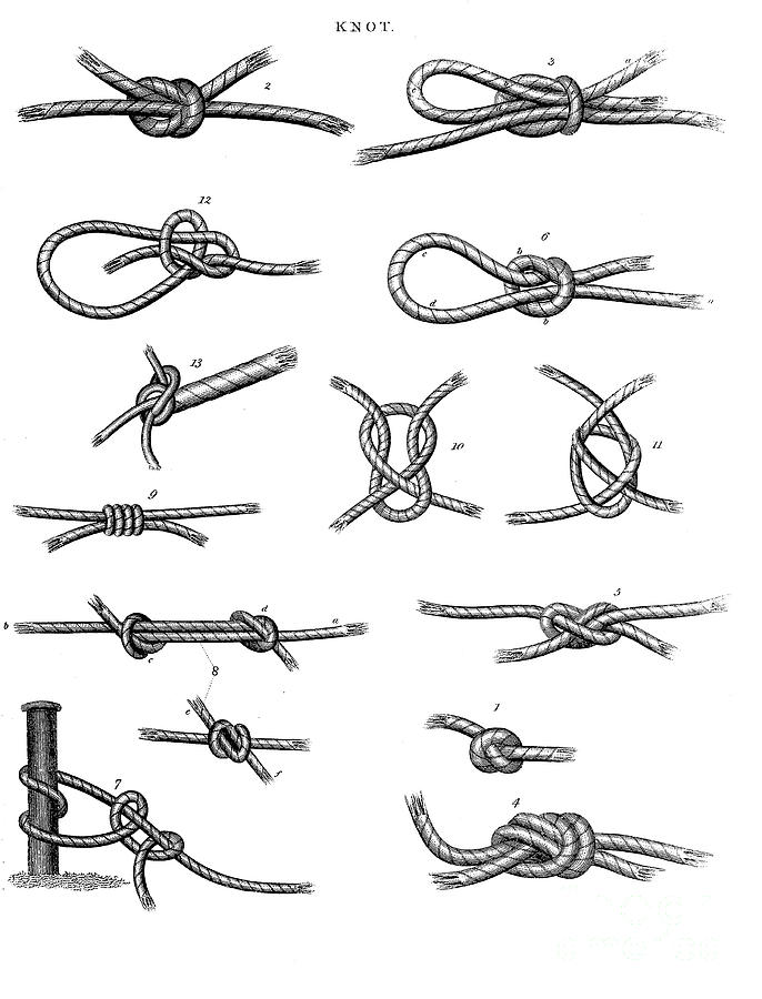Illustration of nautical knots z1 Drawing by Historic illustrations ...