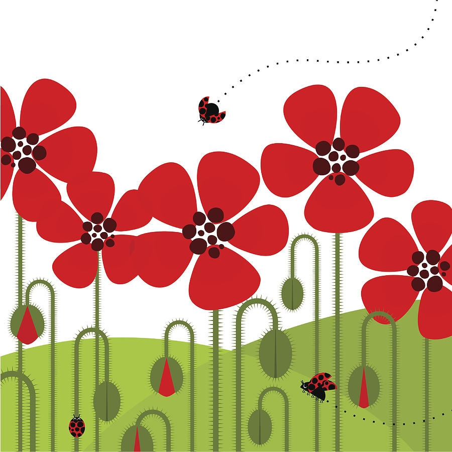 Illustration of red poppies with a ladybug flying by Drawing by Myillo