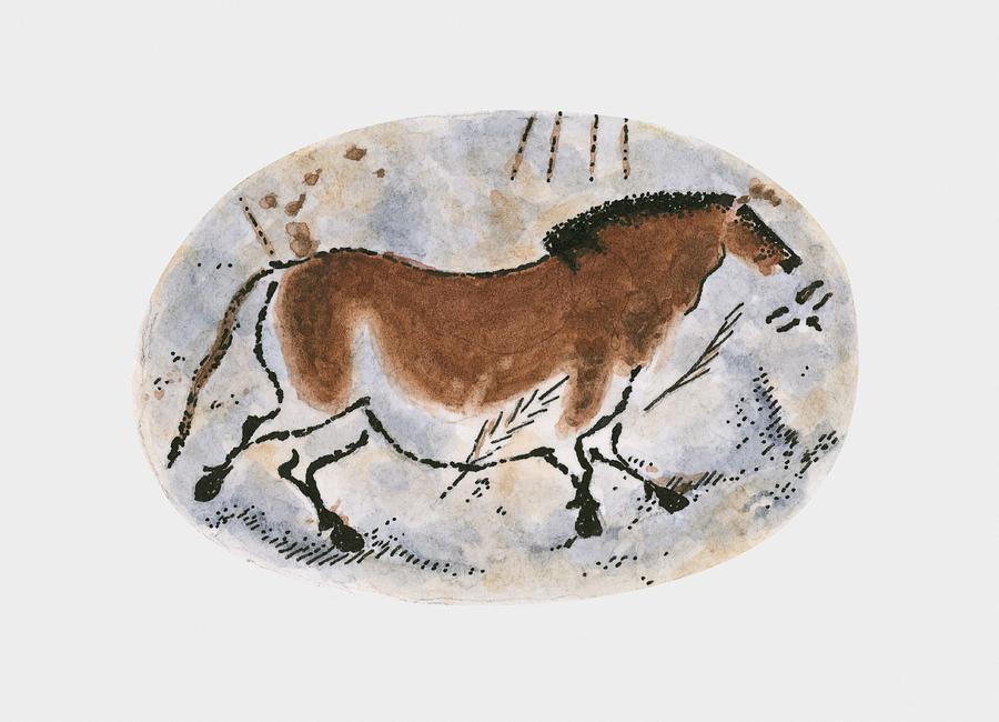 Illustration of stone age cave painting of dun horse at Lascaux Drawing by Gillie Newman