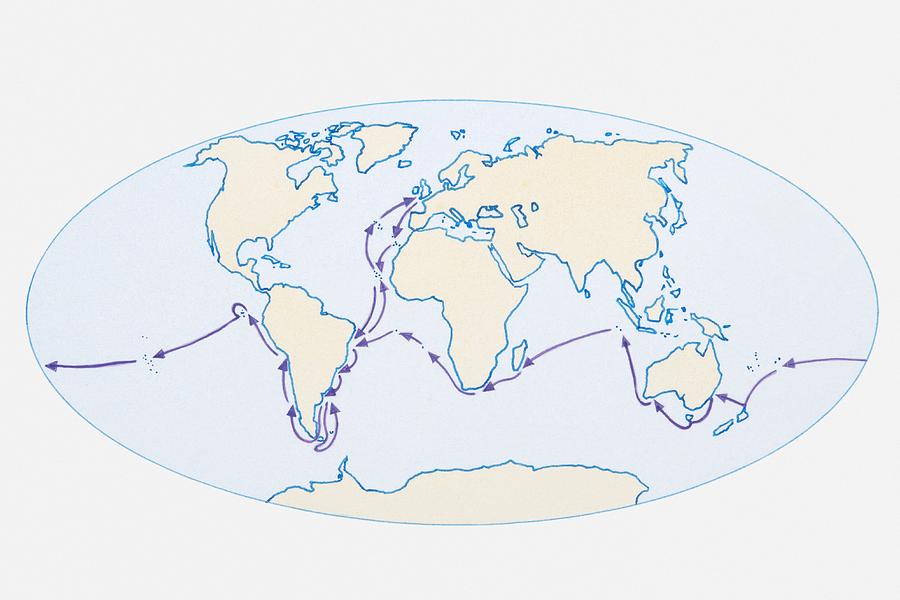 Illustration of world map showing route of Darwins HMS Beagle in purple Drawing by Dorling Kindersley