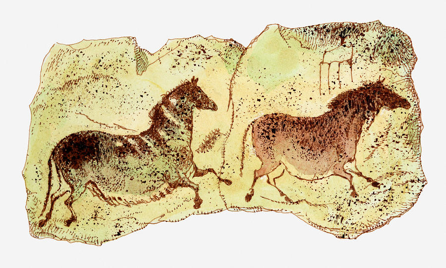 Illustration showing cave paintings of two horses, Lascaux, France Drawing by Dorling Kindersley