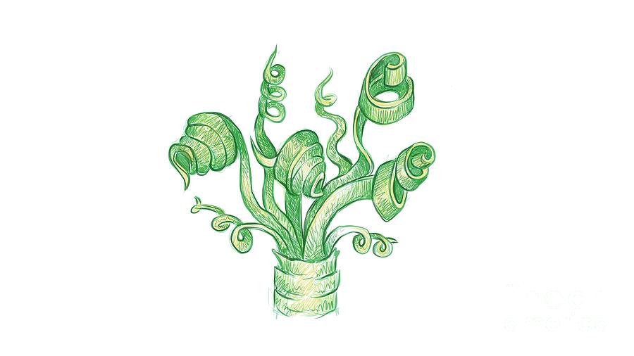 Illustration Sketch Of Beautiful Spiral Green Grass Drawing