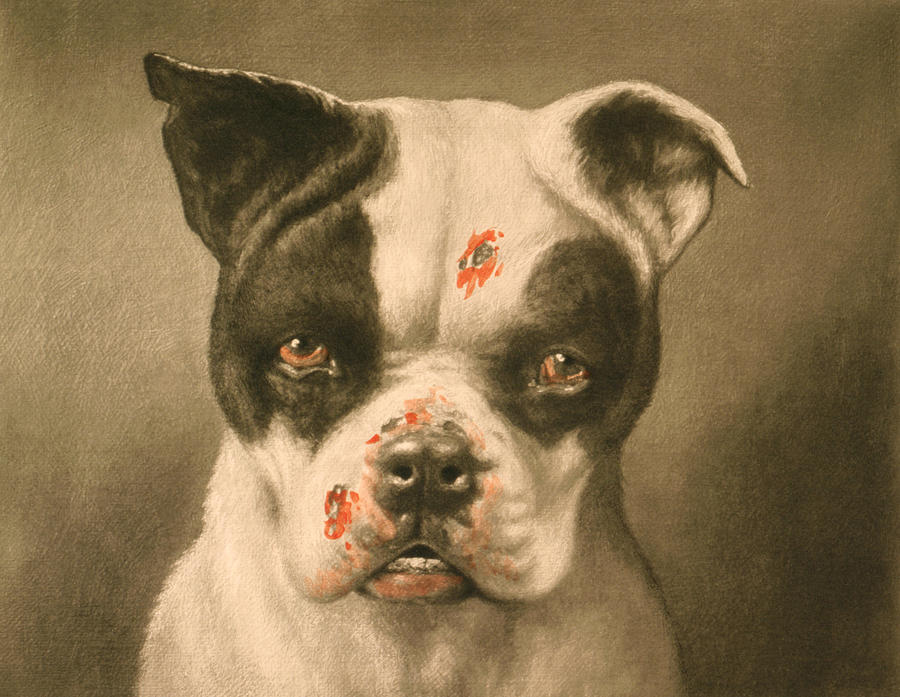 Im A Bad Dog - What Kind Of A Dog Are You - Cassius Marcellus Coolidge Painting by War Is Hell Store