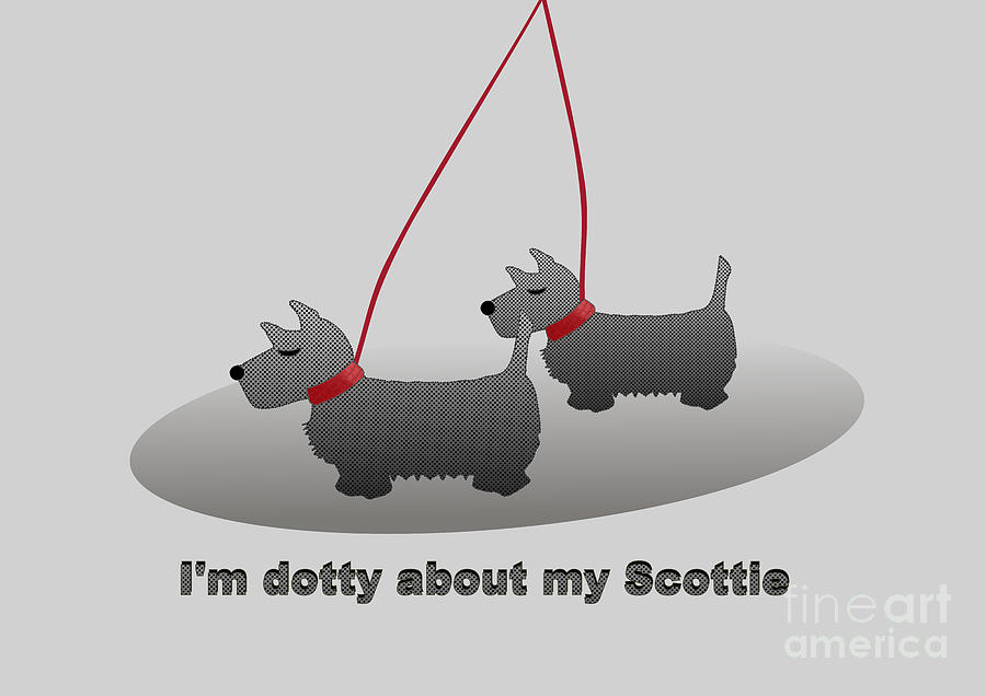 Scottish Terriers Popular Dog Quote Im Dotty about My Scottie Digital Art by Barefoot Bodeez Art