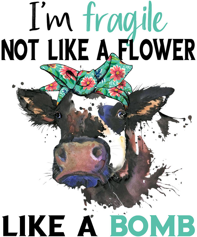 I'm fragile not like a flower like a bomb Digital Art by NDNstore ...