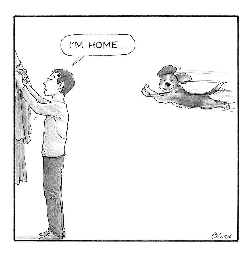 Dog Drawing - Im Home by Harry Bliss