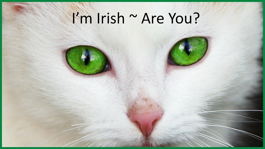 Im Irish Are You Photograph by Nancy Ayanna Wyatt