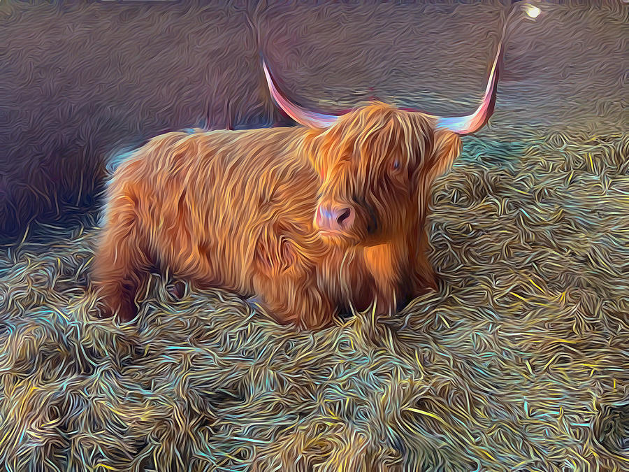 Im Lovin a Coo Photograph by Diane Lindon Coy