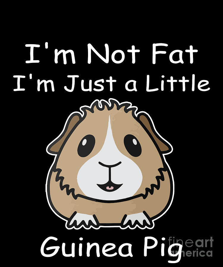 Im Not Fat Im Just A Little Guinea Pig Digital Art by Funny4You - Fine ...