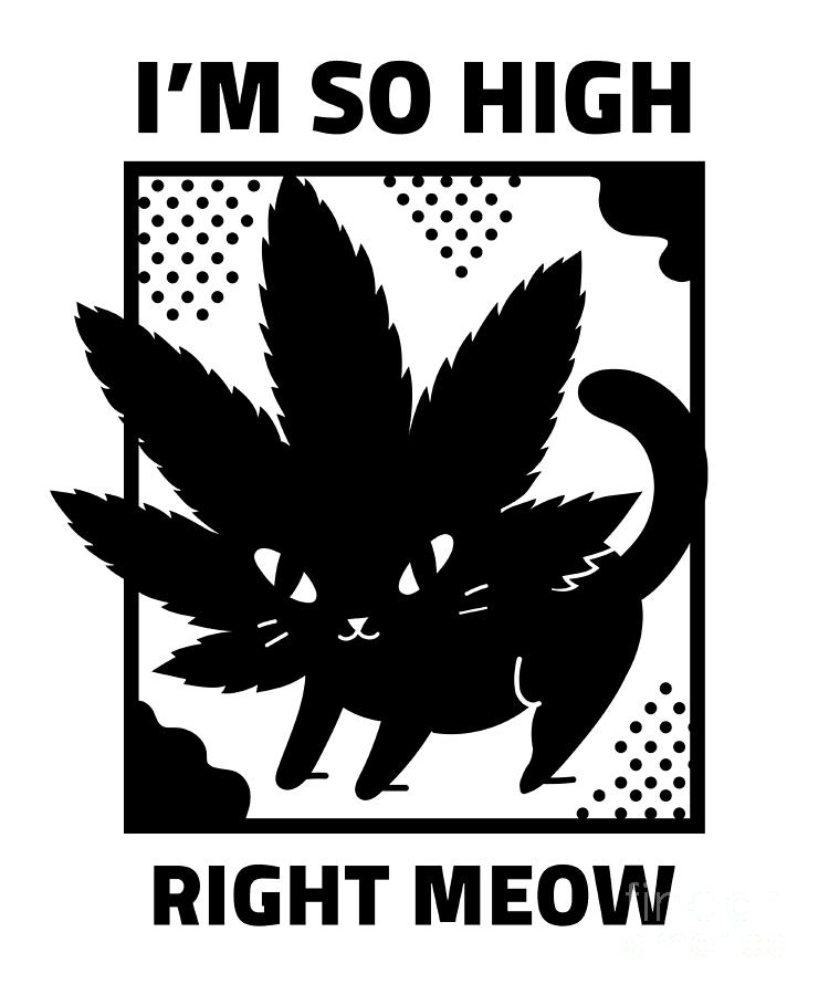 Im So High Right Meow Psychedelic Cat 420 Funny Weed Lover T