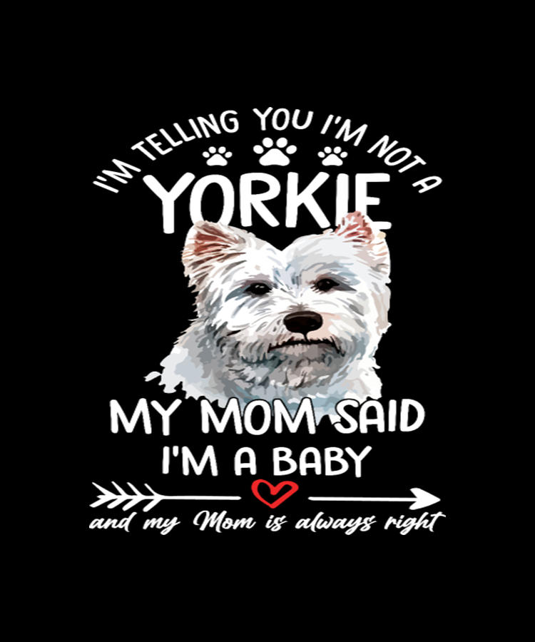 Dog Digital Art - Im Telling You Im Not A Yorkie My Mom Said by Tinh Tran Le Thanh