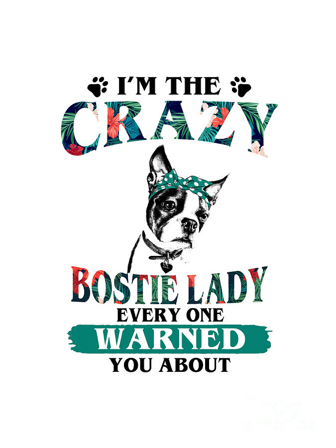 Im The Crazy Bostie Lady Drawing by Anime Art - Fine Art America