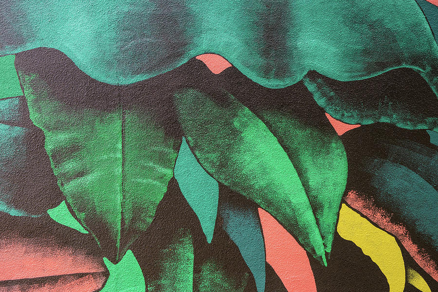 Imaginary Jungle - Bold Multicolored Leafs Pattern Photograph by Georgia Mizuleva