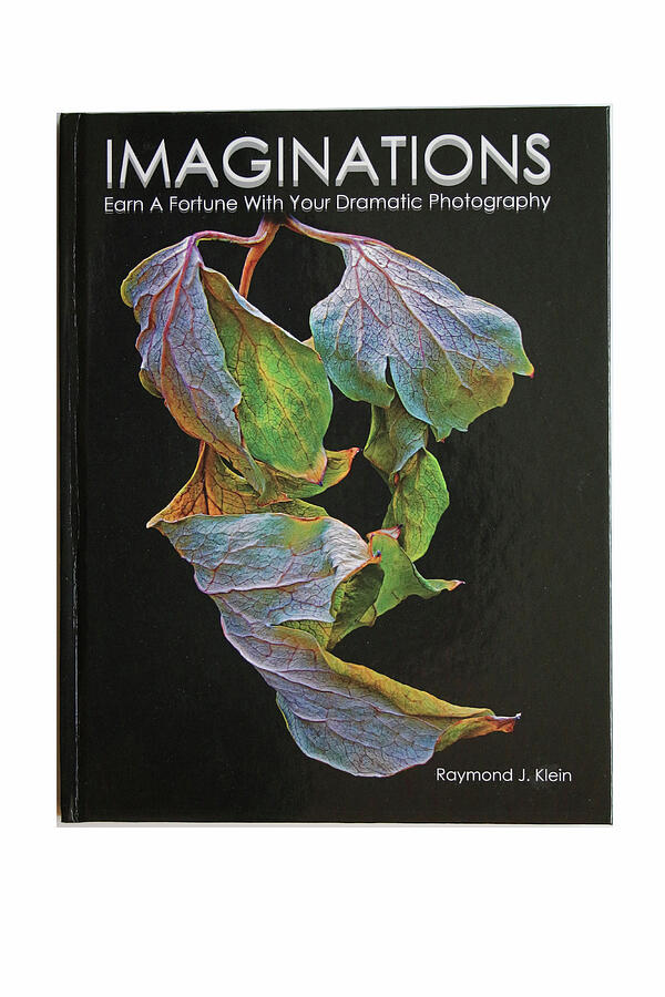 Book Photograph - Imaginations by Raymond Klein