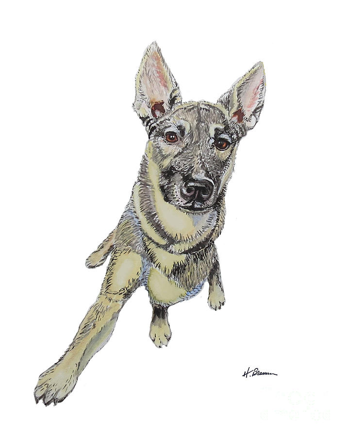 Davids Dog #2 Painting by Holly Bartlett Brannan