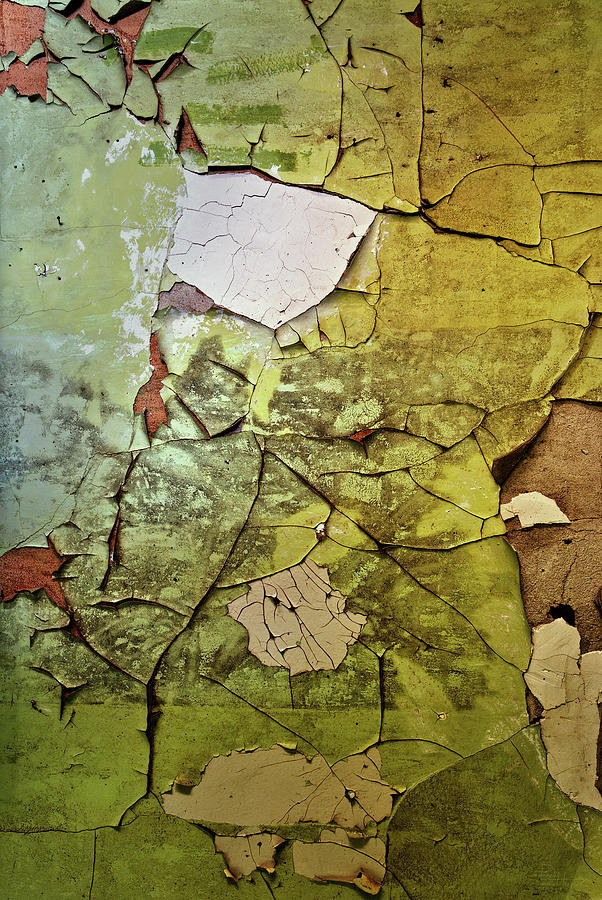 Apeeling Layers - peeling paint on wall abstract art  Photograph by Peter Herman