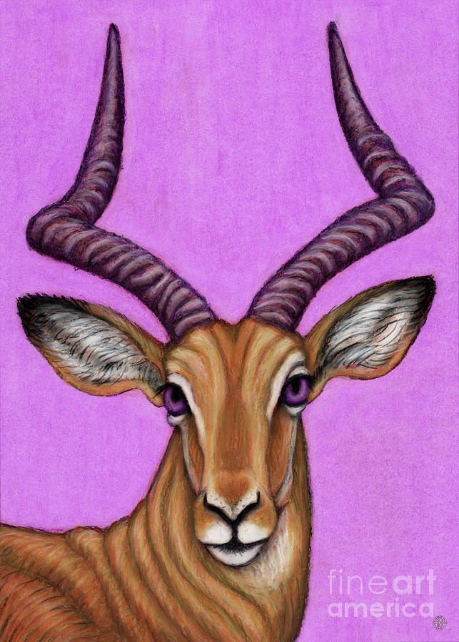 Impala Antelope Painting by Amy E Fraser