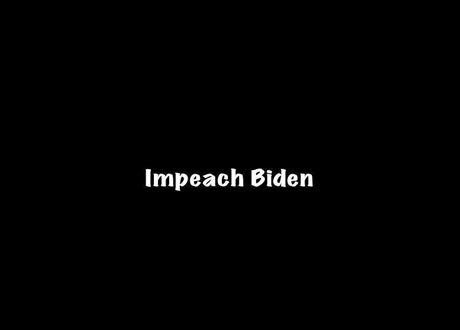 Impeach Biden Photograph by Mark Stout