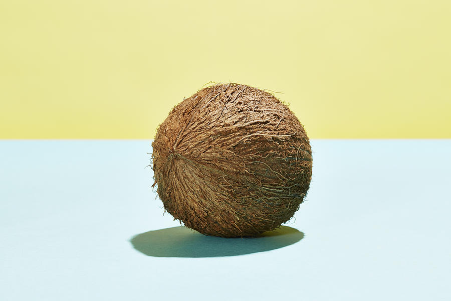 Imperfect Coconut Photograph by Richard Drury