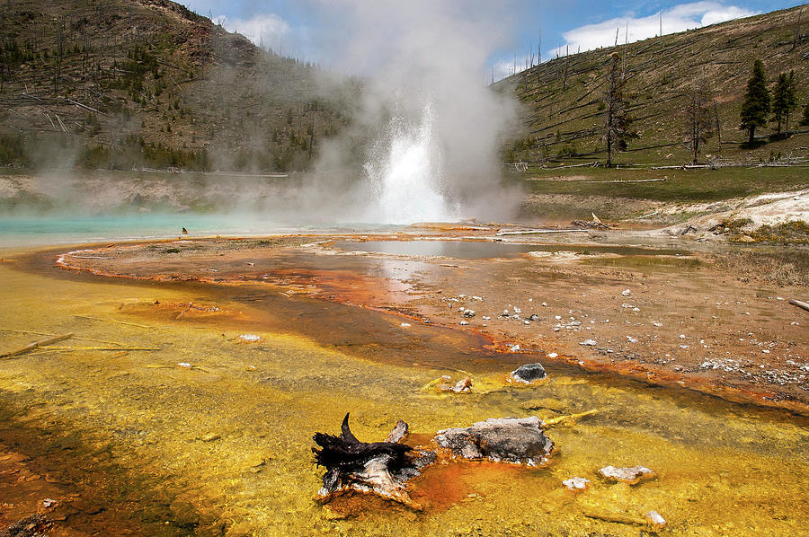Imperial Geyser by Steve Stuller Imperial Geyser by Steve Stuller