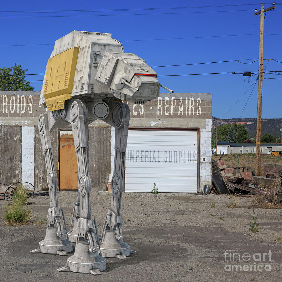 Imperial Surplus Dealer in Used Droids Etc Photograph by Edward Fielding