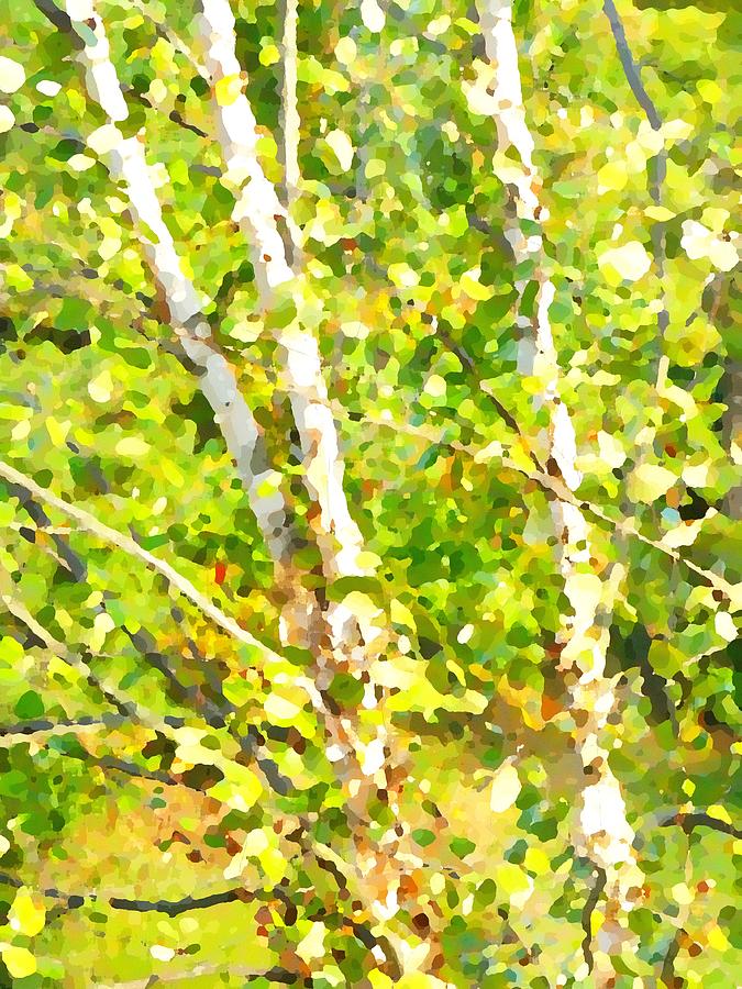 Impression of a Birch Tree Photograph by George Harth