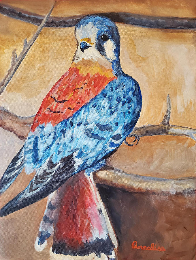 Impression of an American Kestrel Painting by Annalisa Rivera-Franz