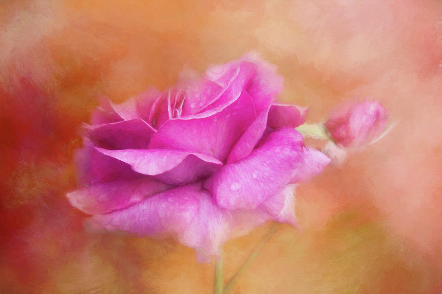 Impressionistic Red Rose Digital Art by Terry Davis