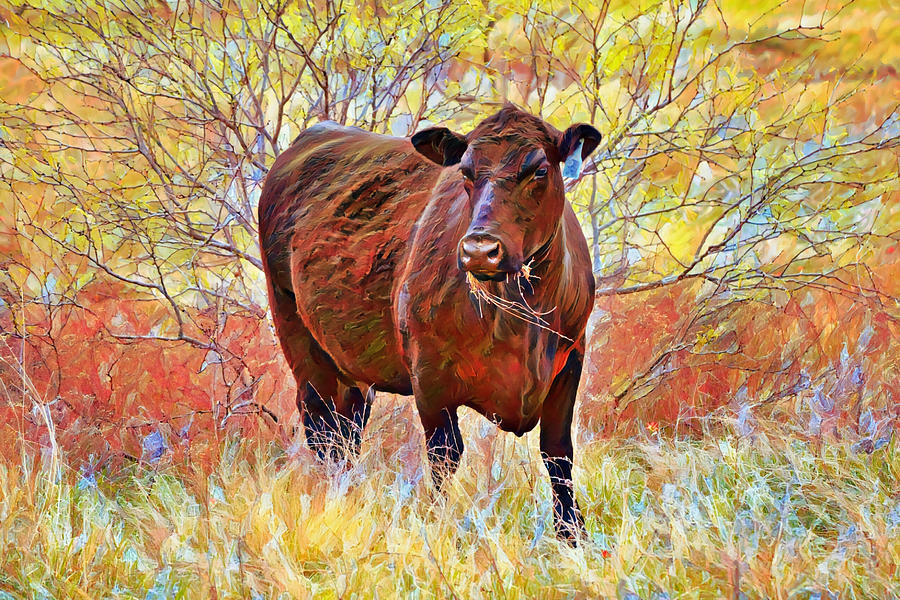 Impressionist Black Angus Cow Digital Art by Gaby Ethington - Fine Art ...