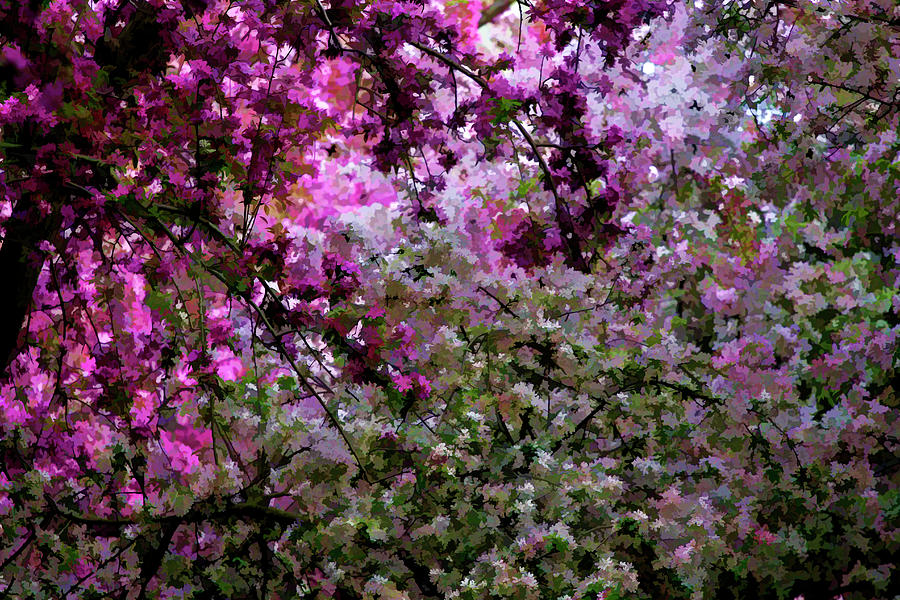 Impressionist Cherry Trees Photograph by Robert Ullmann