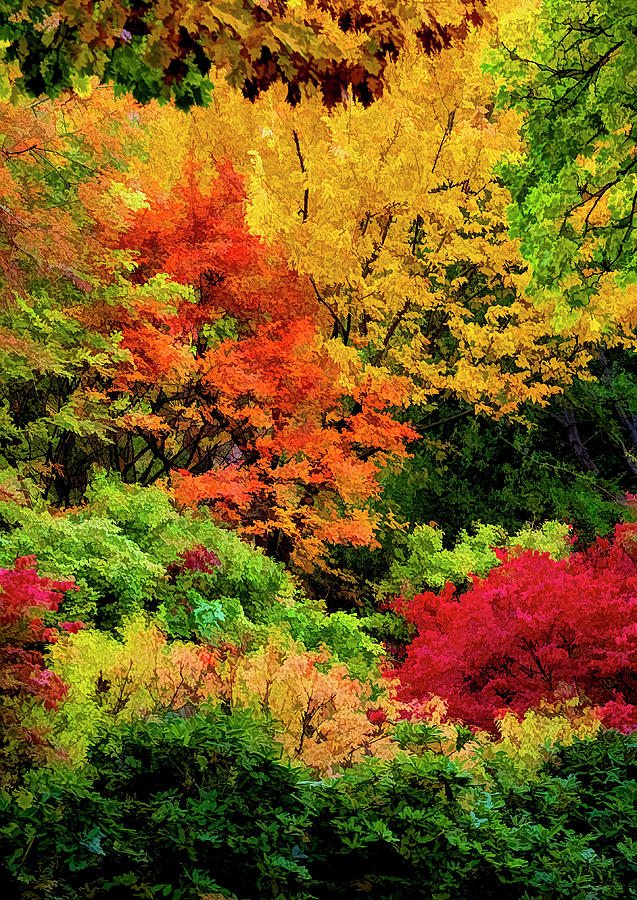Impressionist Fall Foliage 90 Photograph