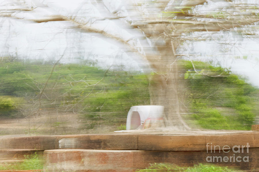 Impressionist image of temple under tree Photograph by Kiran Joshi