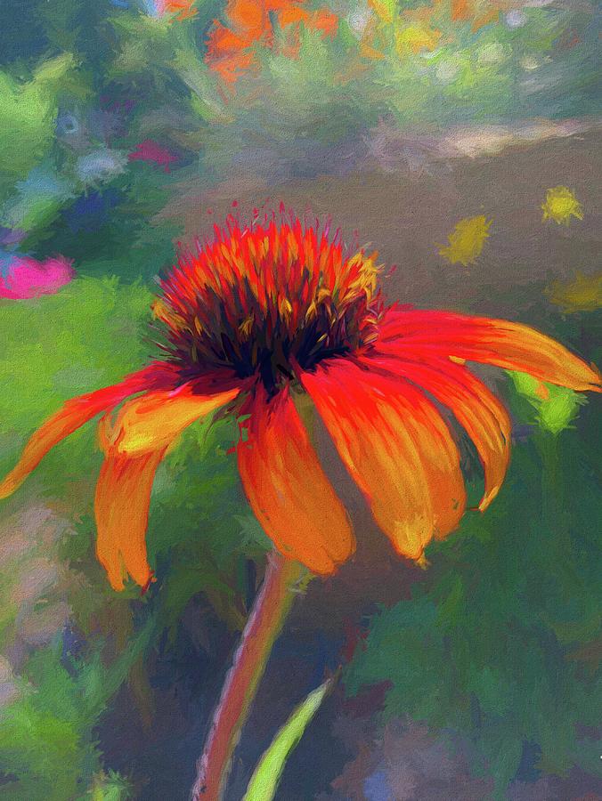 Impressionist Orange Echinacea  Digital Art by Mo Barton