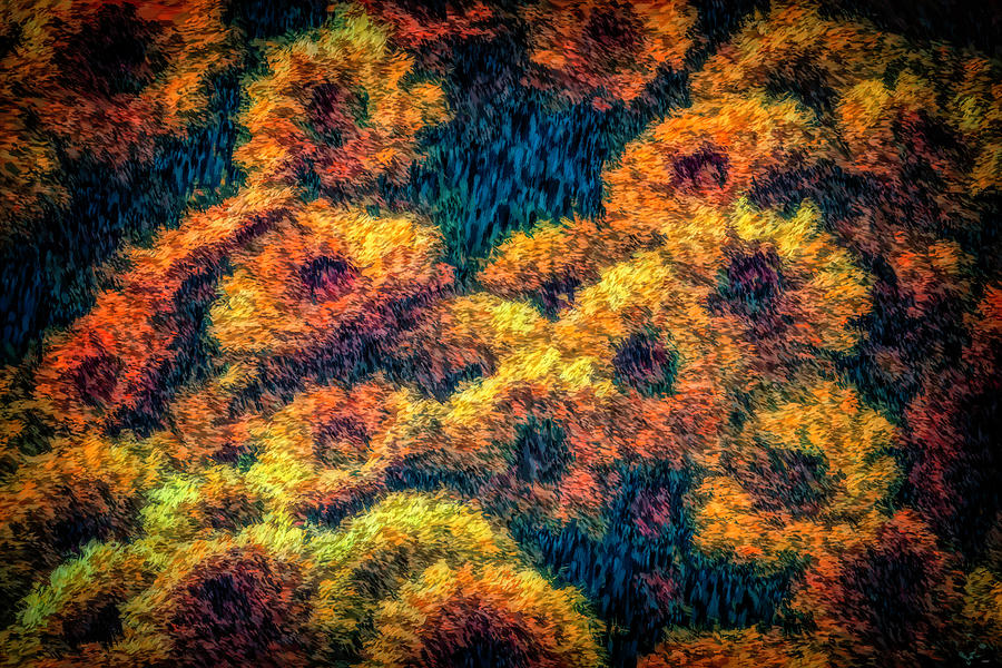 Impressionist Paint Effect Marigolds Photograph