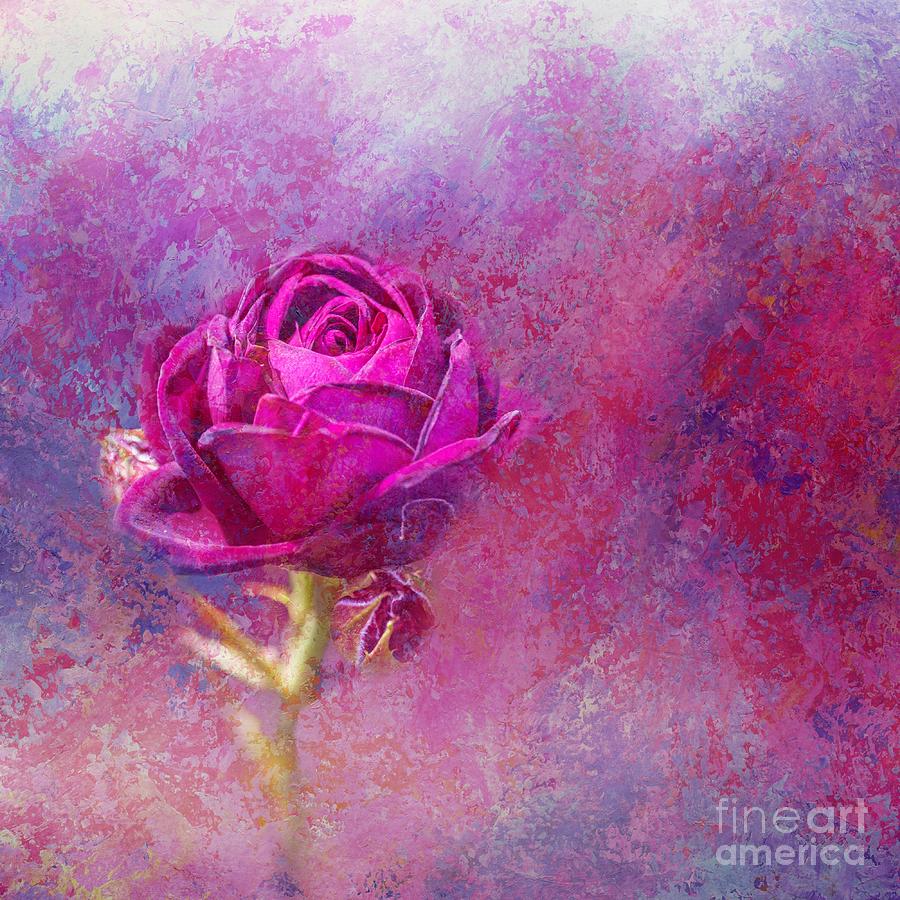 Rose Photograph - Impressionist Rose by Eva Lechner