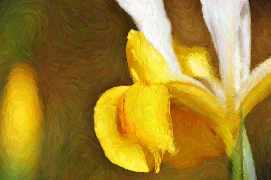 Impressionist Yellow White Dutch Iris Digital Art by Gaby Ethington