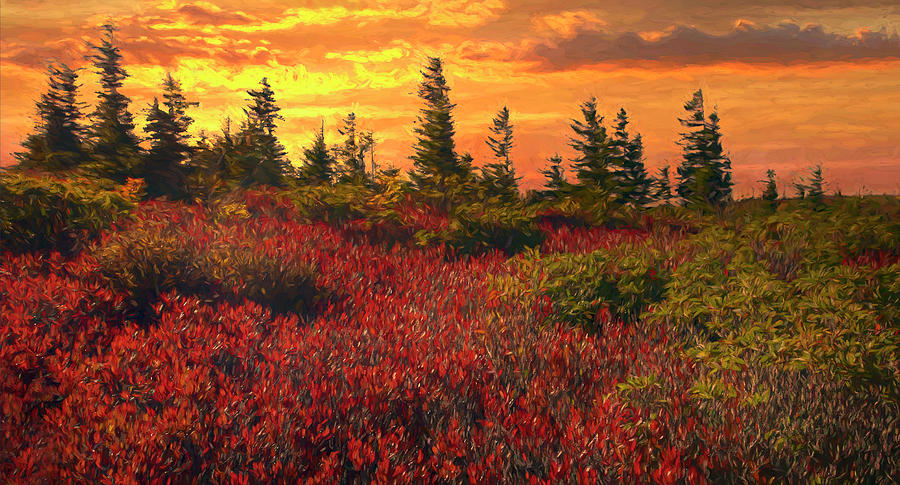 Impressionistic Dolly Sods Photograph by Art Cole