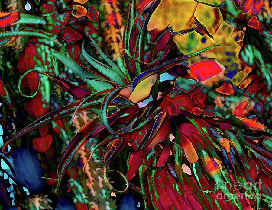 Impressionistic Multi-colored Agave Photograph by Roslyn Wilkins