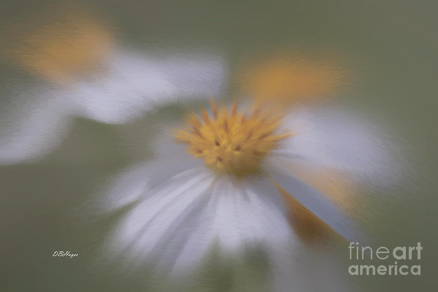 Impressionistic Photo Art - Wildflower In Oil Photograph by DB Hayes
